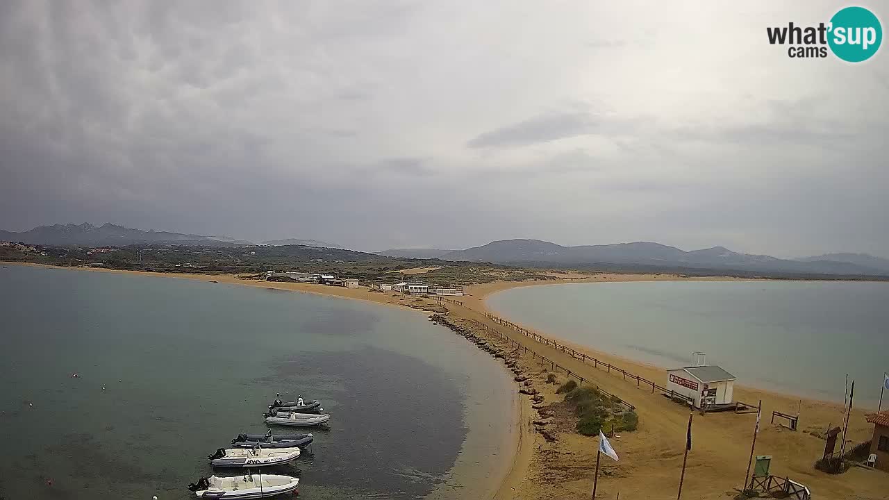 L’Isuledda webcam Isola dei Gabbiani – Porto Pollo – Palau – Sardegna