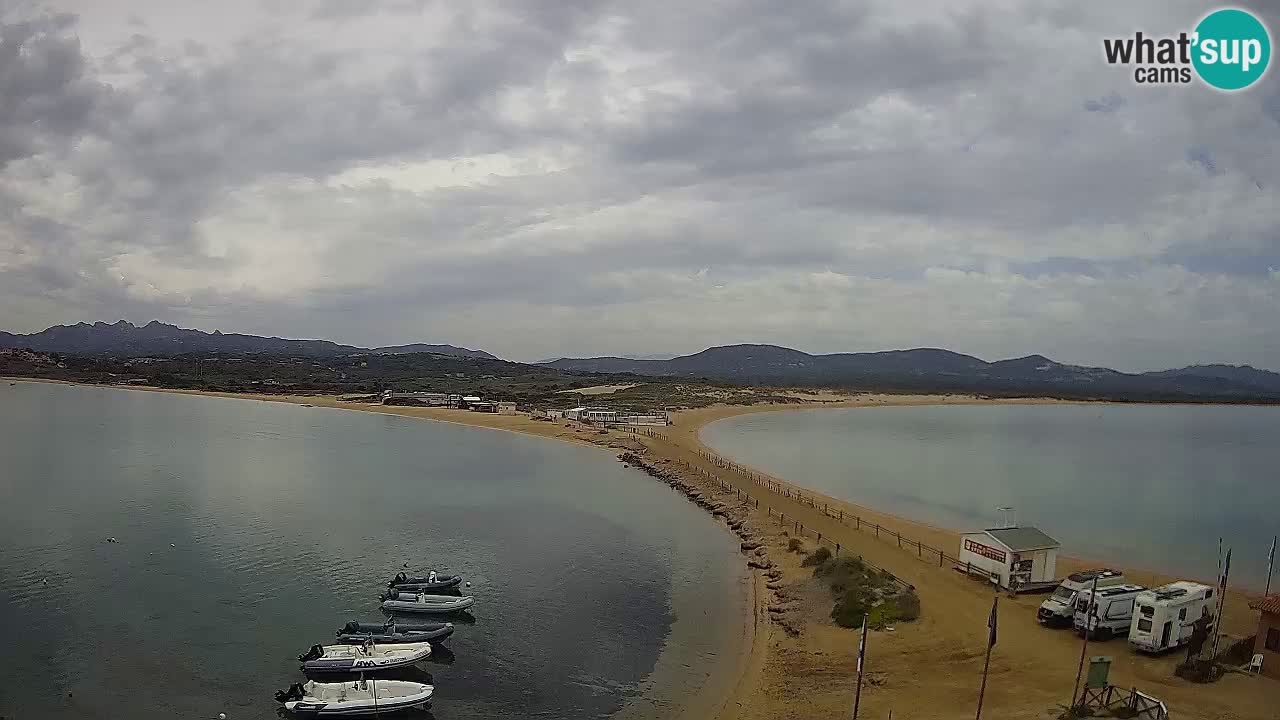 Livecam l’Isuledda – Isola dei Gabbiani – Porto Pollo – Palau – Sardaigne – Italie