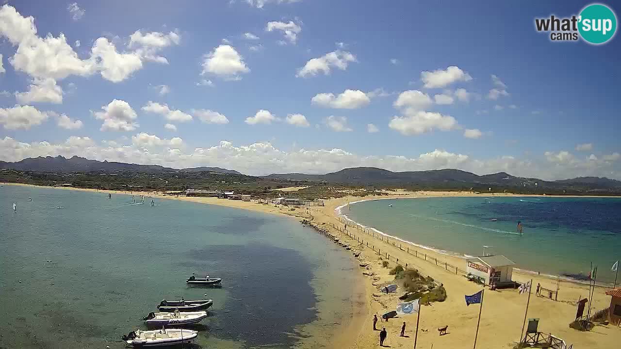L’Isuledda webcam Isola dei Gabbiani – Porto Pollo – Palau – Sardegna