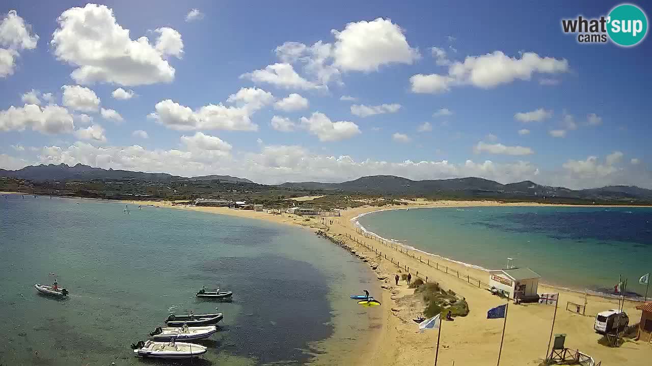 L’Isuledda webcam Isola dei Gabbiani – Porto Pollo – Palau – Cerdeña – Italia