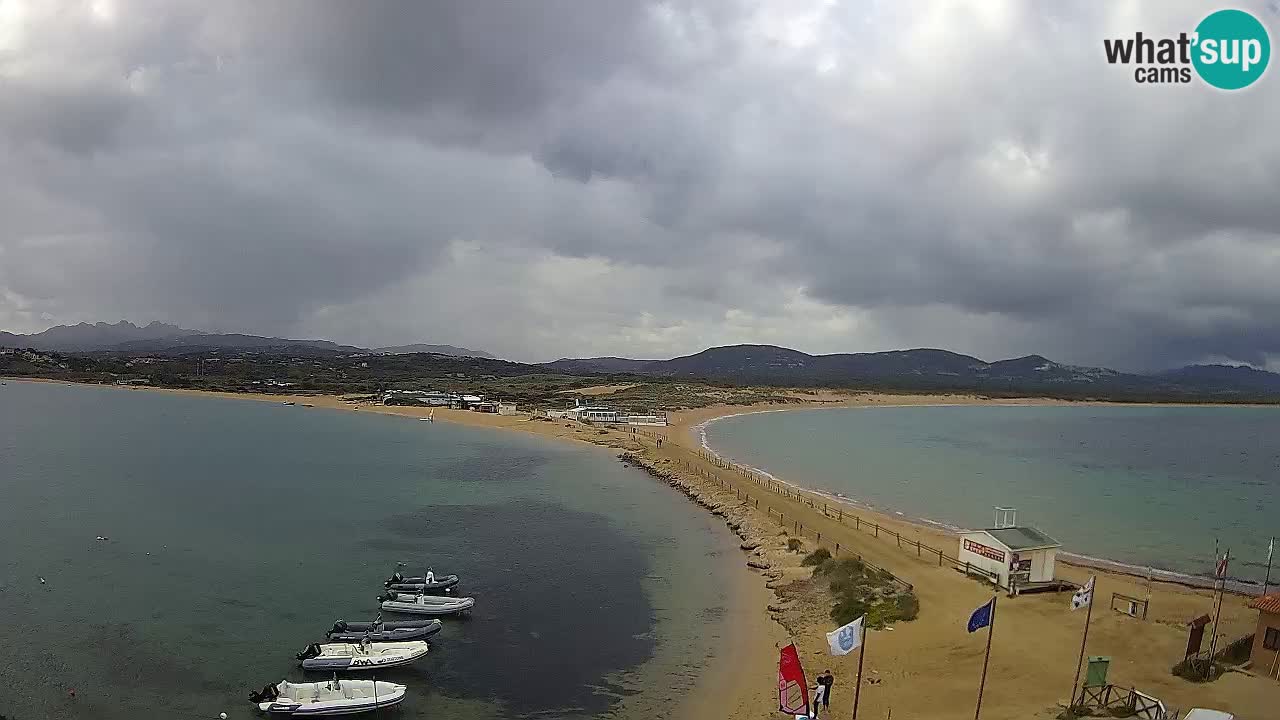 L’Isuledda webcam Isola dei Gabbiani – Porto Pollo – Palau – Cerdeña – Italia