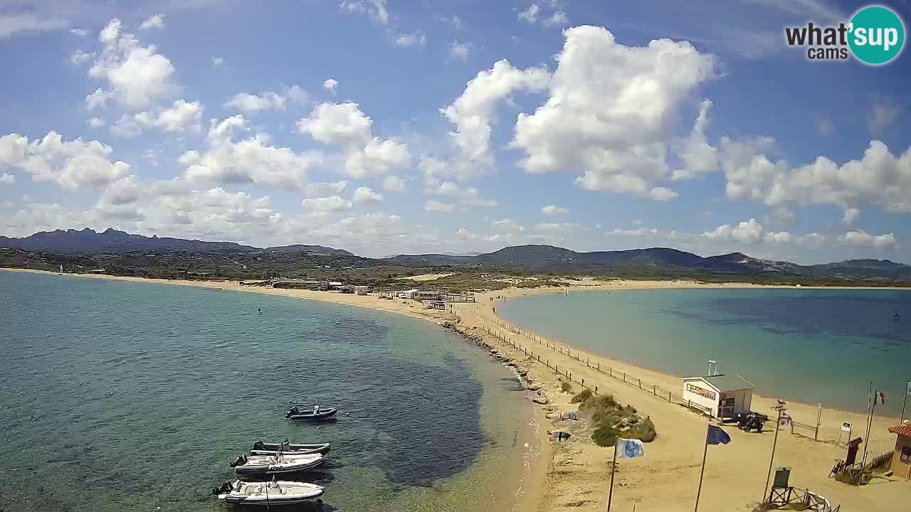 Live Webcam Isuledda – Isola dei Gabbiani – Porto Pollo – Palau – Sardinia – Italy
