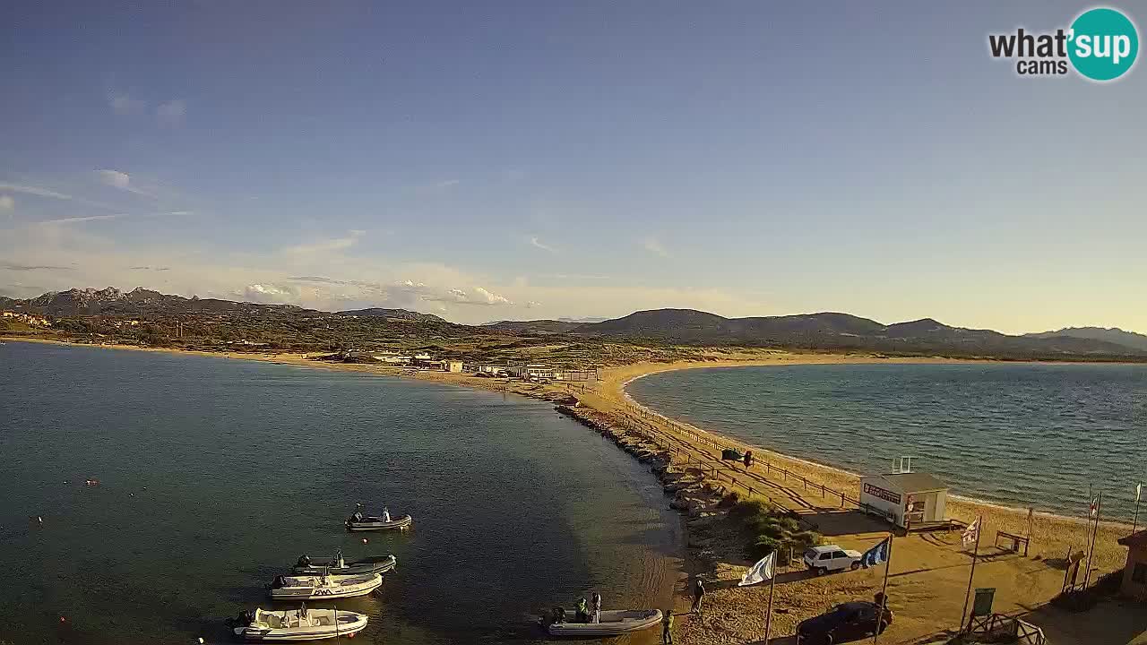 L’Isuledda webcam Isola dei Gabbiani – Porto Pollo – Palau – Sardegna
