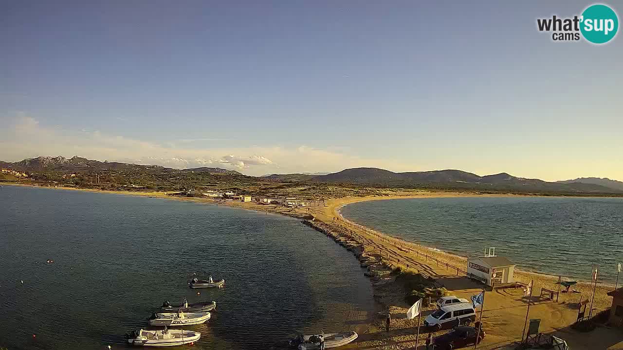 L’Isuledda webcam Isola dei Gabbiani – Porto Pollo – Palau – Cerdeña – Italia