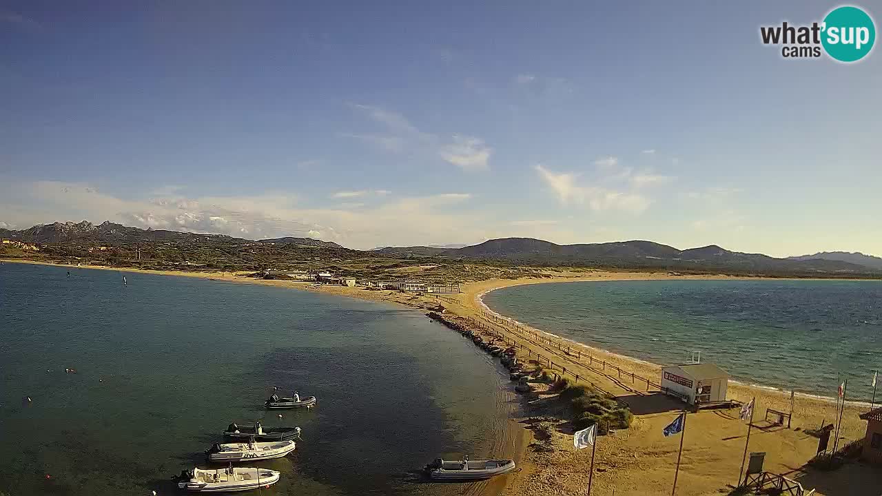 L’Isuledda webcam Isola dei Gabbiani – Porto Pollo – Palau – Sardegna