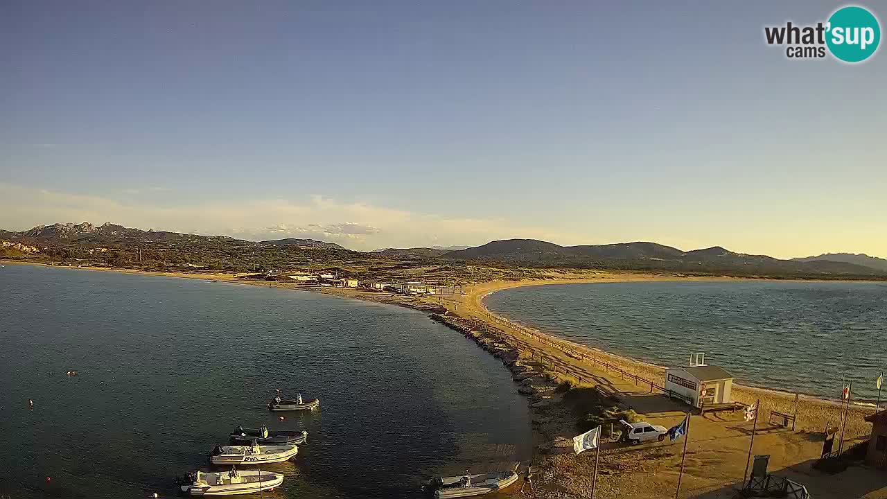L’Isuledda webcam Isola dei Gabbiani – Porto Pollo – Palau – Sardegna