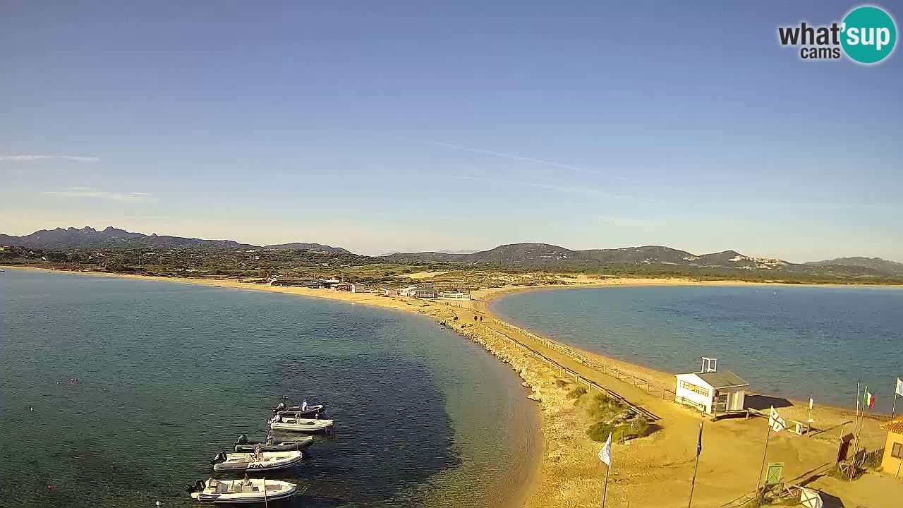 L’Isuledda webcam Isola dei Gabbiani – Porto Pollo – Palau – Sardegna