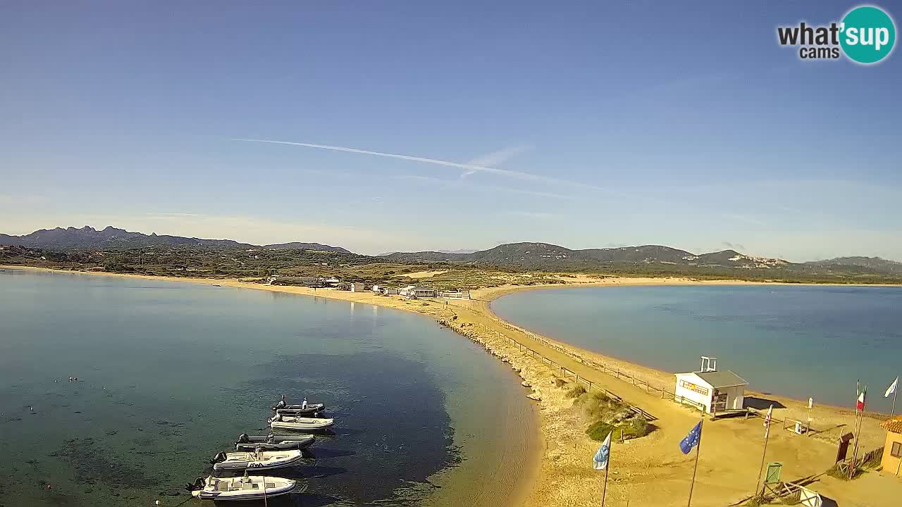 Live Webcam Isuledda – Isola dei Gabbiani – Porto Pollo – Palau – Sardinia