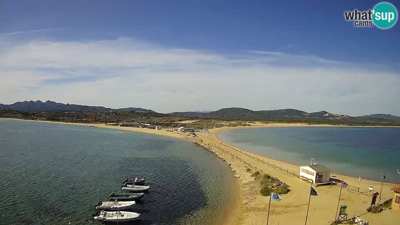 L’Isuledda webcam Isola dei Gabbiani – Porto Pollo – Palau – Cerdeña – Italia