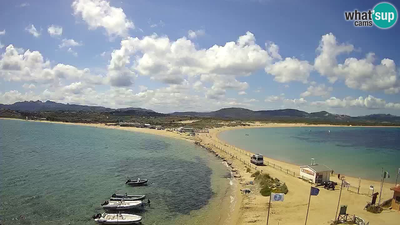 L’Isuledda webcam Isola dei Gabbiani – Porto Pollo – Palau – Sardegna