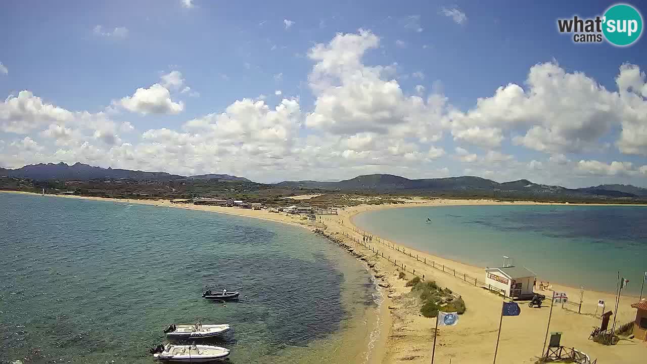 L’Isuledda webcam Isola dei Gabbiani – Porto Pollo – Palau – Cerdeña – Italia