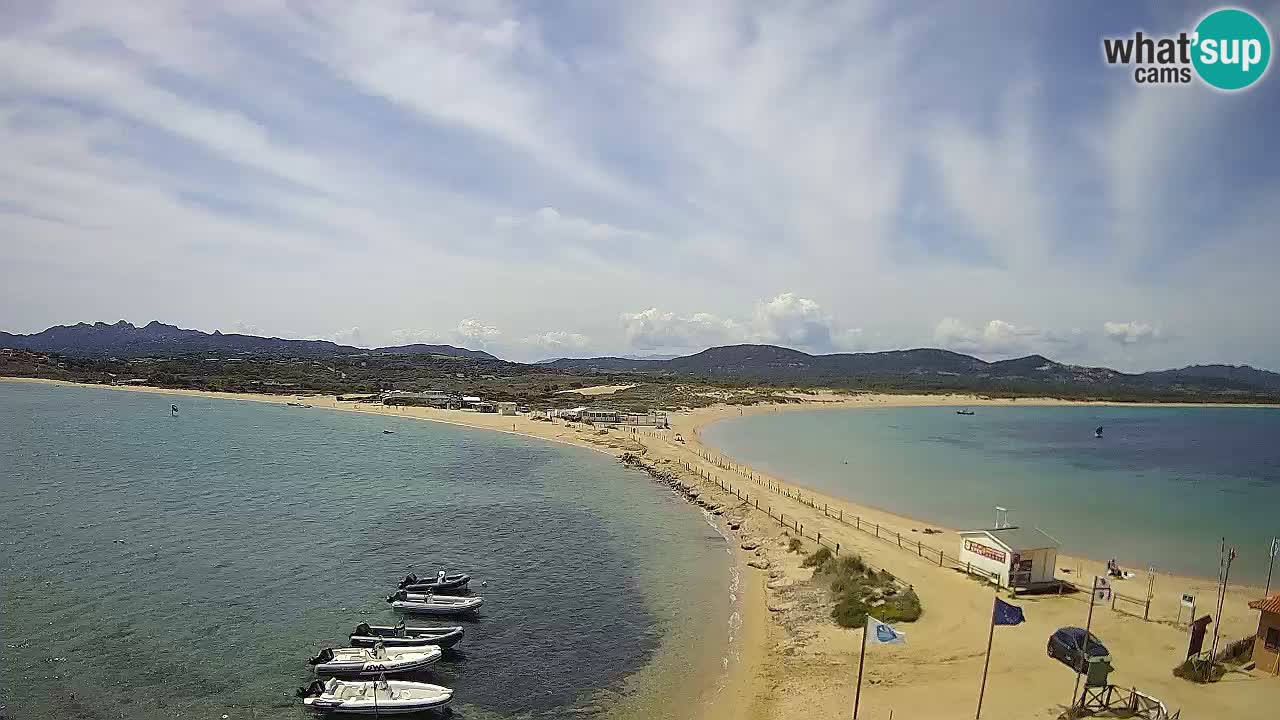 L’Isuledda webcam Isola dei Gabbiani – Porto Pollo – Palau – Sardegna