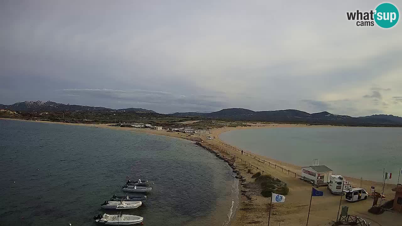 L’Isuledda webcam Isola dei Gabbiani – Porto Pollo – Palau – Cerdeña – Italia