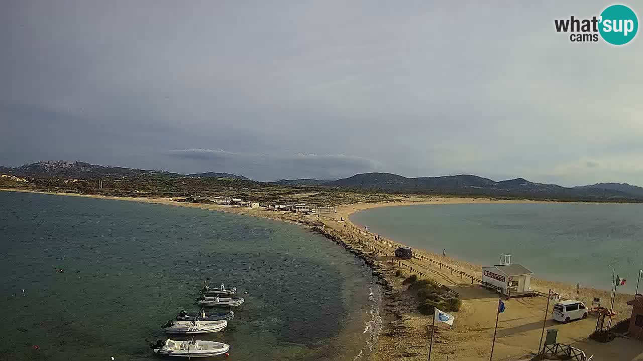 L’Isuledda webcam Isola dei Gabbiani – Porto Pollo – Palau – Sardegna