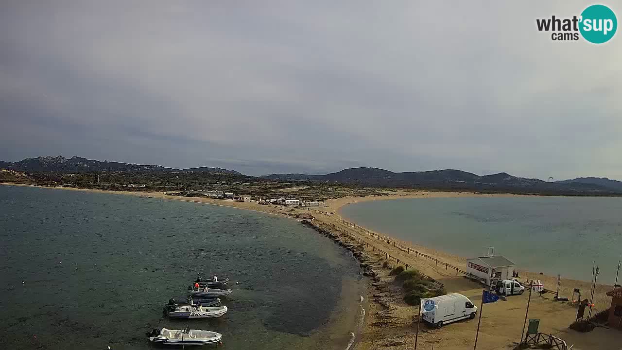 Live Webcam Isuledda – Isola dei Gabbiani – Porto Pollo – Palau – Sardinia