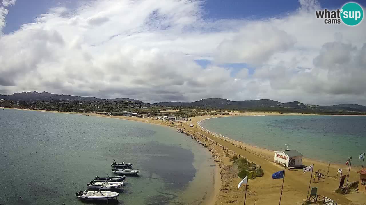 L’Isuledda webcam Isola dei Gabbiani – Porto Pollo – Palau – Sardegna