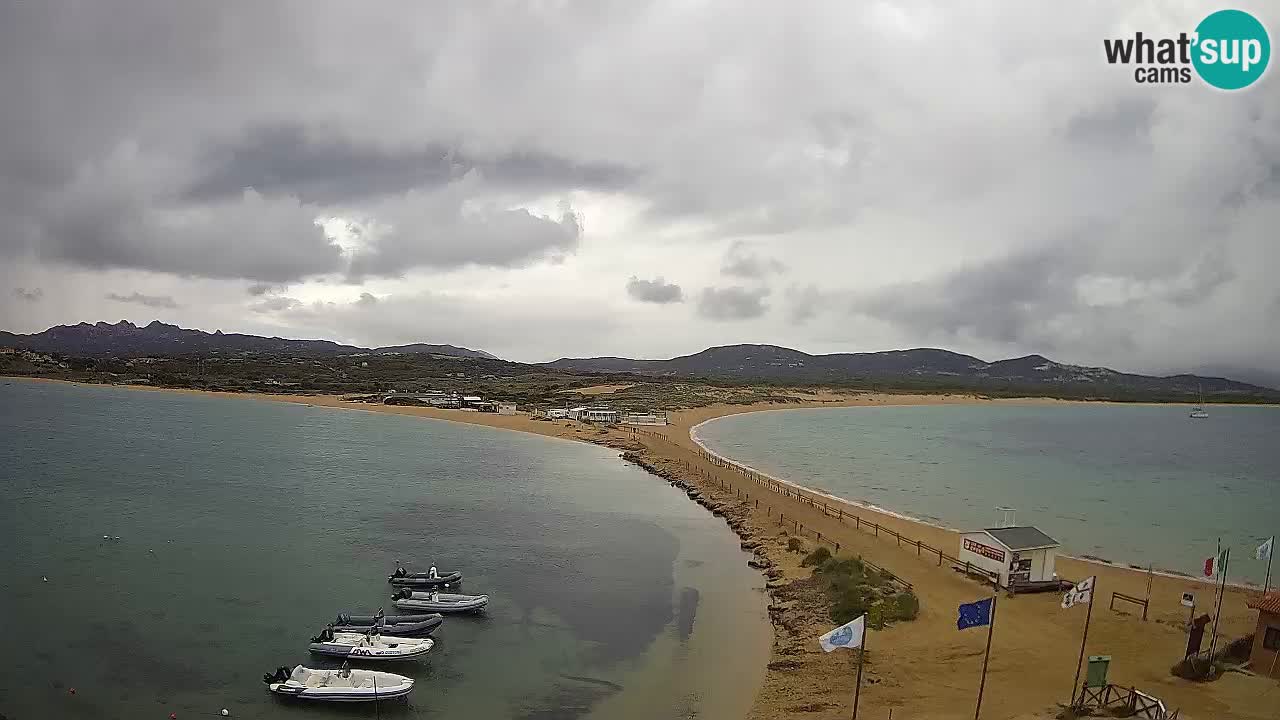 L’Isuledda webcam Isola dei Gabbiani – Porto Pollo – Palau – Sardegna