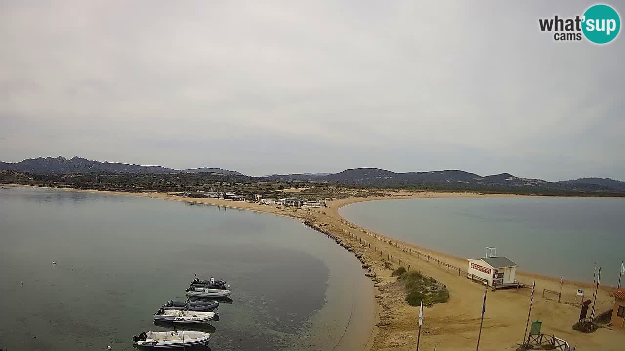L’Isuledda spletna kamera Isola dei Gabbiani – Porto Pollo – Palau – Sardinija – Italija