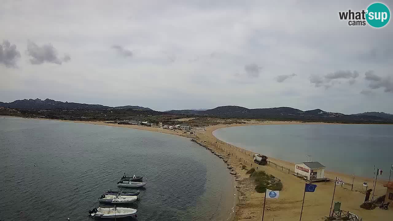 L’Isuledda spletna kamera Isola dei Gabbiani – Porto Pollo – Palau – Sardinija – Italija