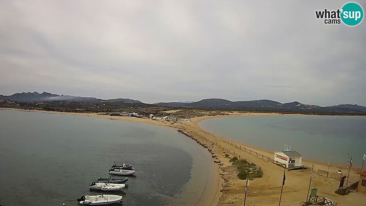 Livecam l’Isuledda – Isola dei Gabbiani – Porto Pollo – Palau – Sardaigne – Italie