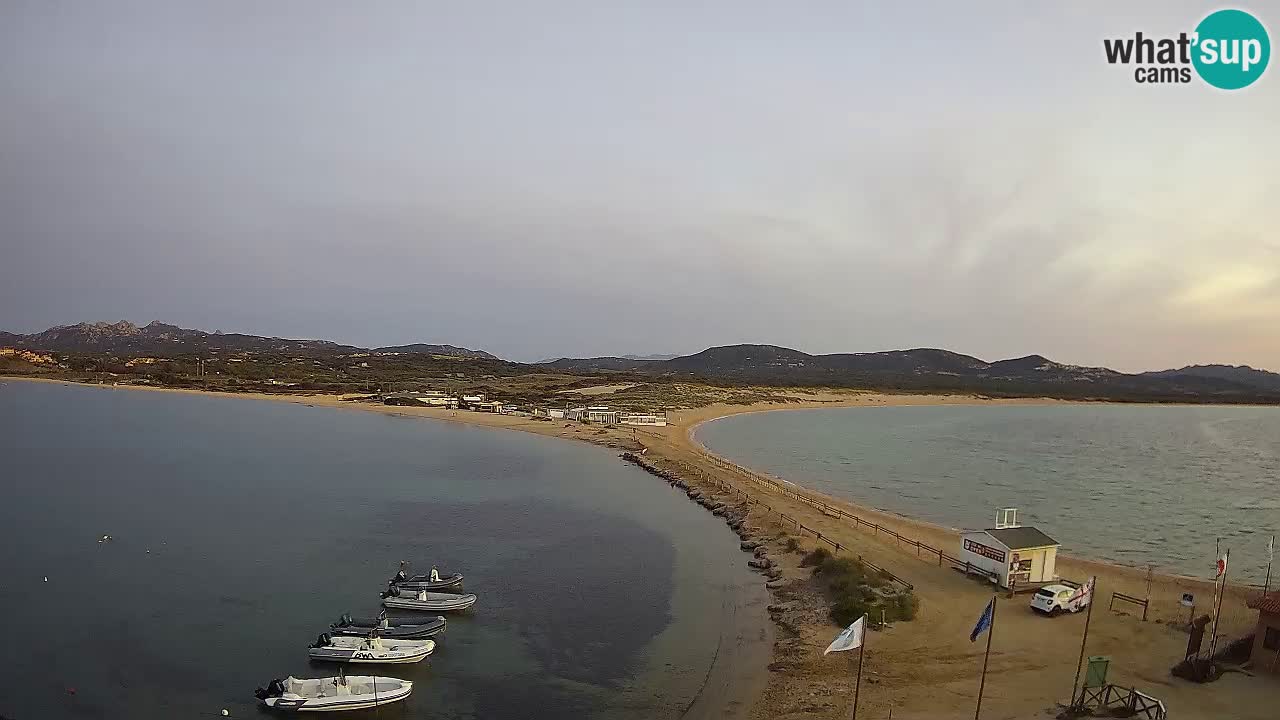 Live Webcam Isuledda – Isola dei Gabbiani – Porto Pollo – Palau – Sardinia