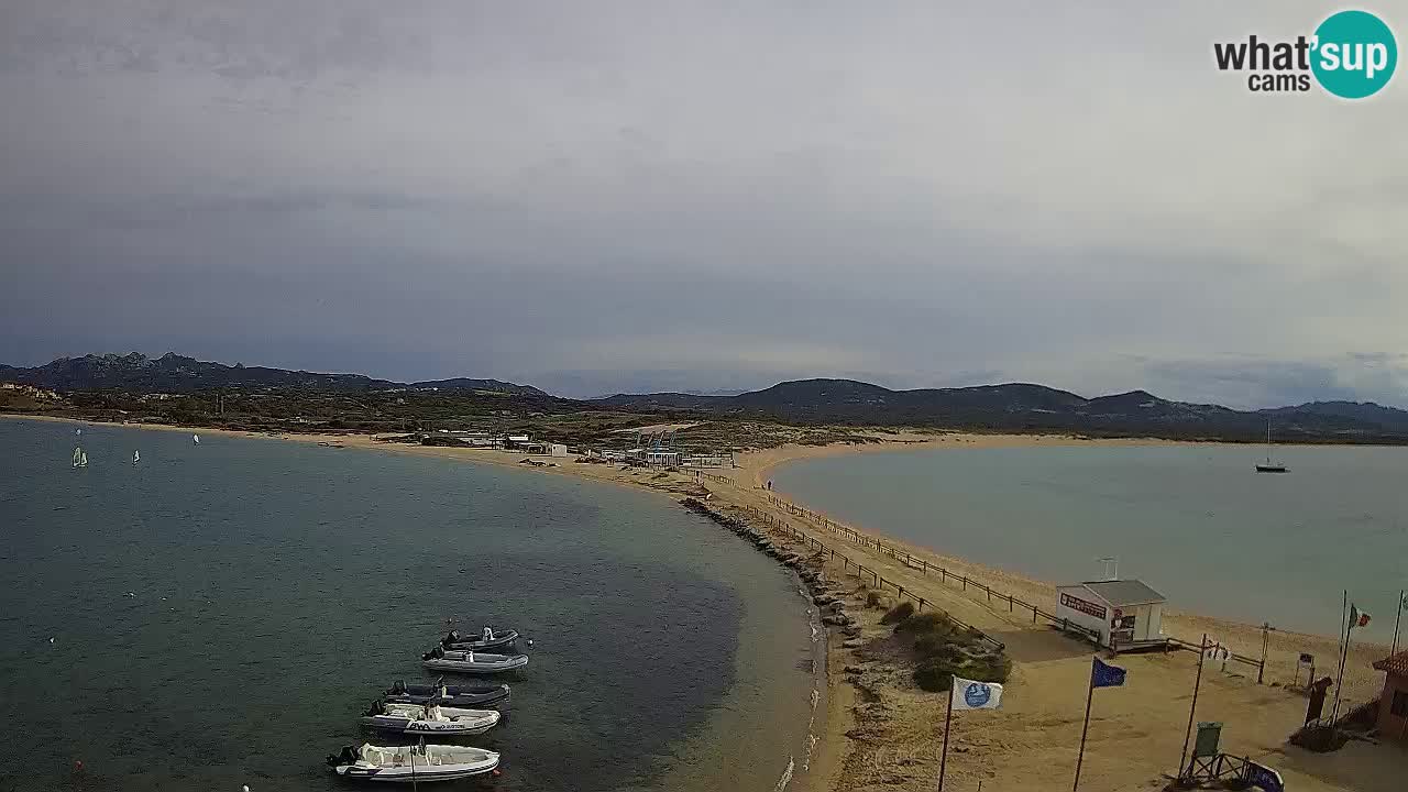 Live Webcam Isuledda – Isola dei Gabbiani – Porto Pollo – Palau – Sardinia