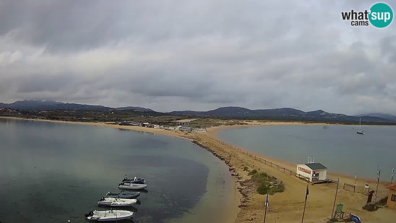 L’Isuledda webcam Isola dei Gabbiani – Porto Pollo – Palau – Sardegna