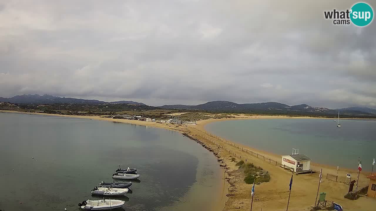 L’Isuledda spletna kamera Isola dei Gabbiani – Porto Pollo – Palau – Sardinija – Italija