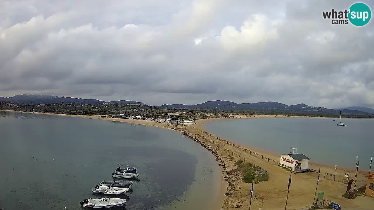 L’Isuledda live webcam Isola dei Gabbiani – Porto Pollo – Palau – Sardinien – Italien