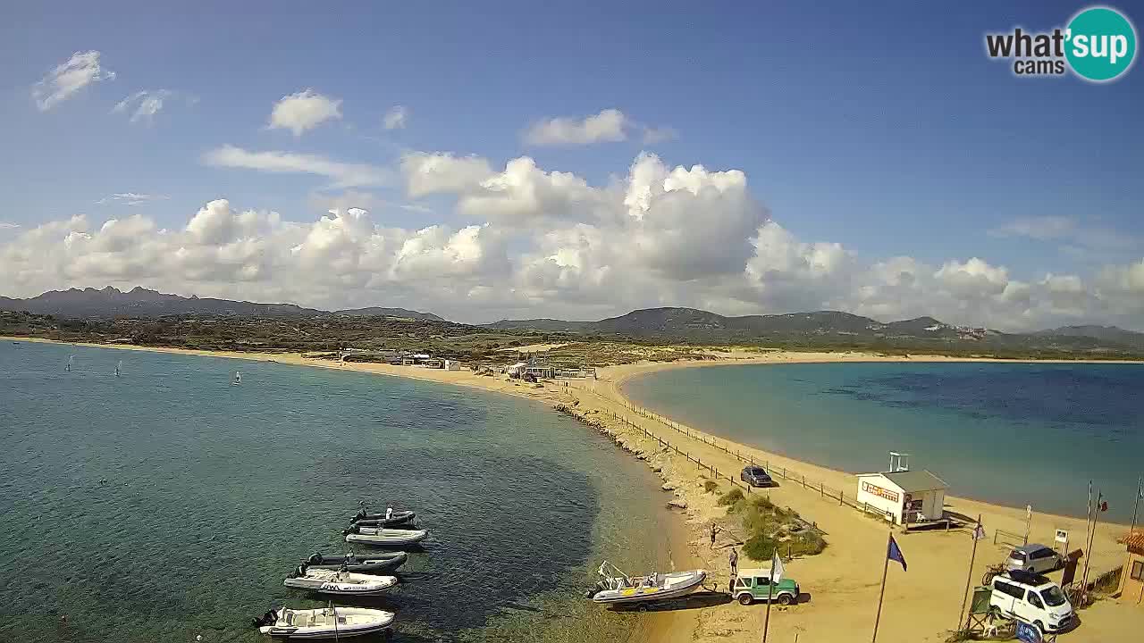 L’Isuledda webcam Isola dei Gabbiani – Porto Pollo – Palau – Sardegna