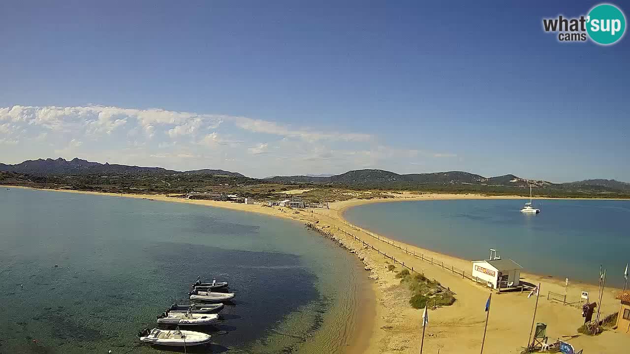 Live Webcam Isuledda – Isola dei Gabbiani – Porto Pollo – Palau – Sardinia – Italy