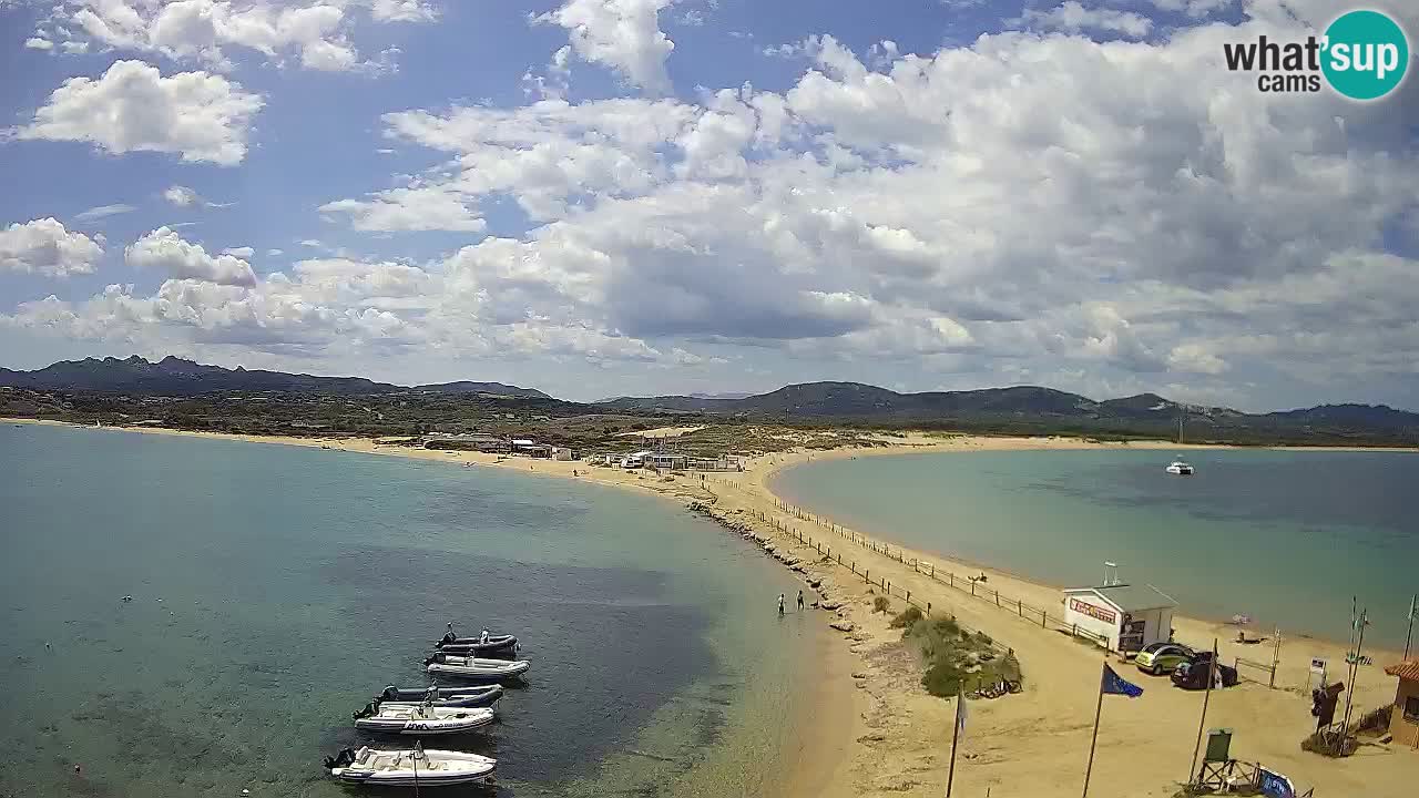 L’Isuledda webcam Isola dei Gabbiani – Porto Pollo – Palau – Cerdeña – Italia