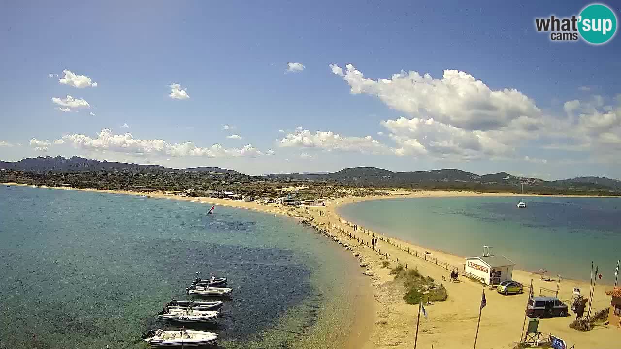 L’Isuledda webcam Isola dei Gabbiani – Porto Pollo – Palau – Cerdeña – Italia
