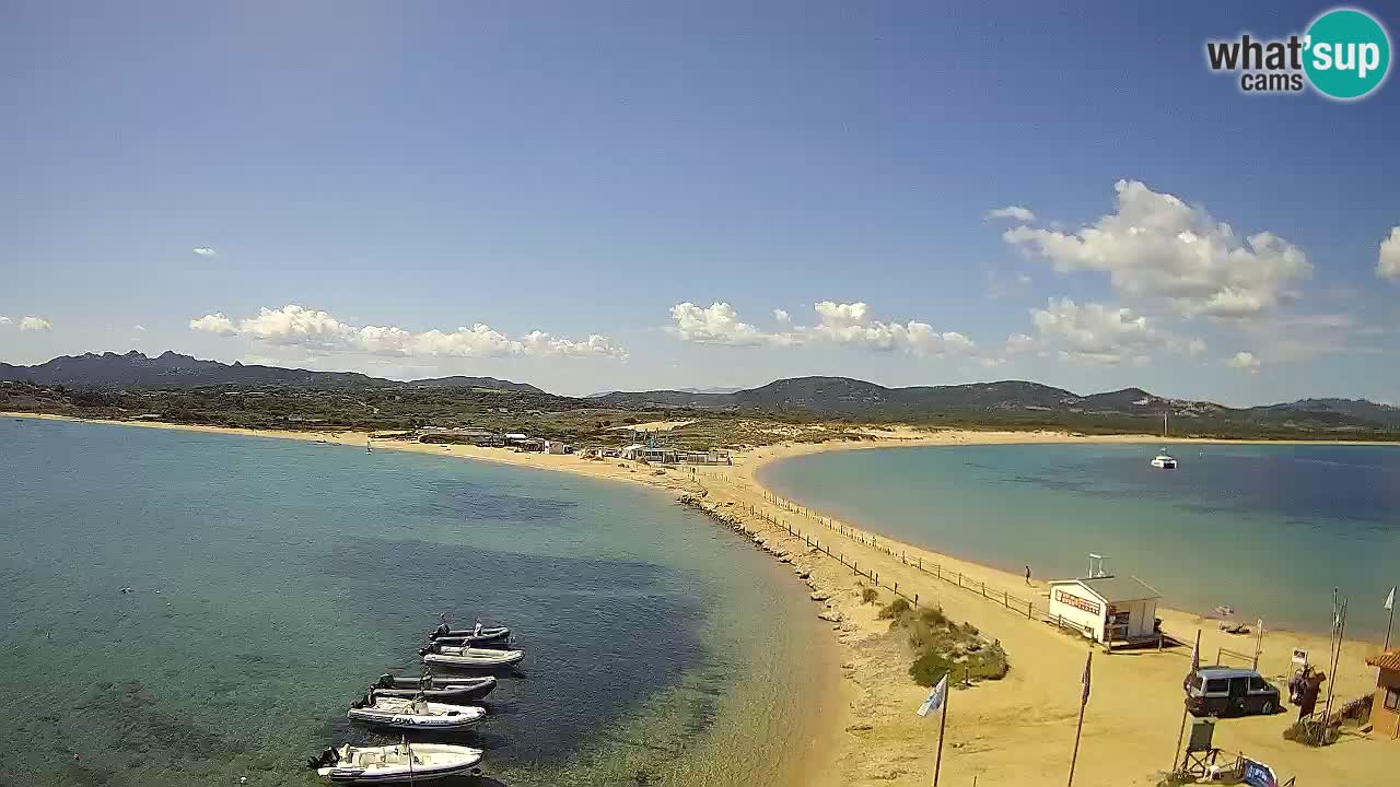 L’Isuledda webcam Isola dei Gabbiani – Porto Pollo – Palau – Cerdeña – Italia