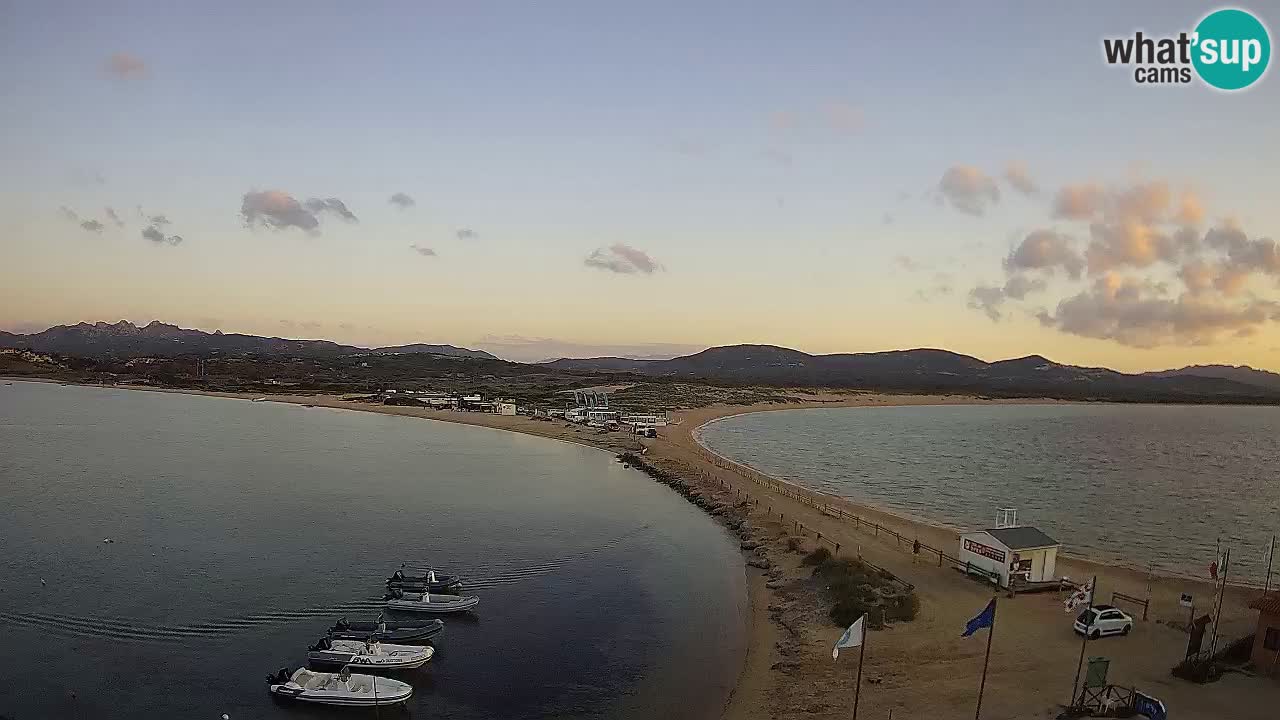L’Isuledda webcam Isola dei Gabbiani – Porto Pollo – Palau – Sardegna