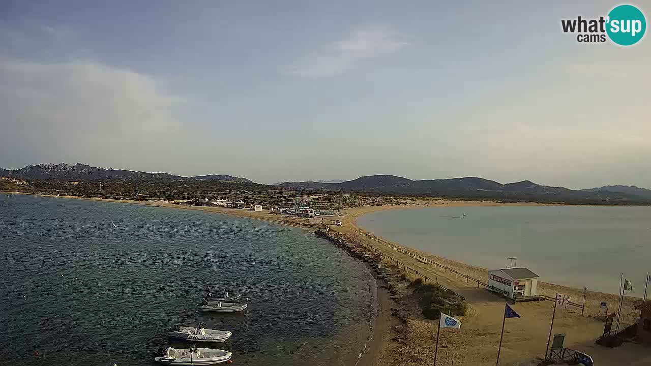 L’Isuledda webcam Isola dei Gabbiani – Porto Pollo – Palau – Sardegna