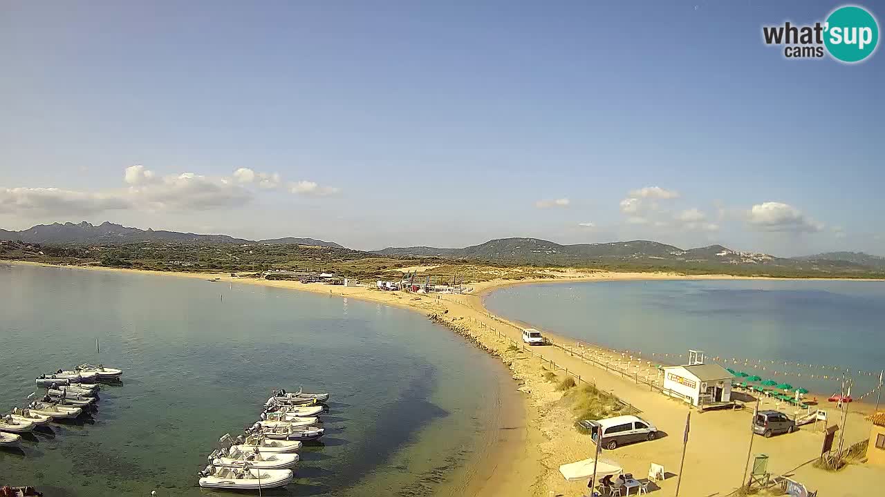 L’Isuledda webcam Isola dei Gabbiani – Porto Pollo – Palau – Cerdeña – Italia