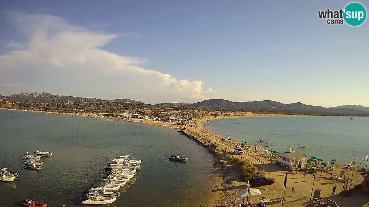 Livecam l’Isuledda – Isola dei Gabbiani – Porto Pollo – Palau – Sardaigne – Italie