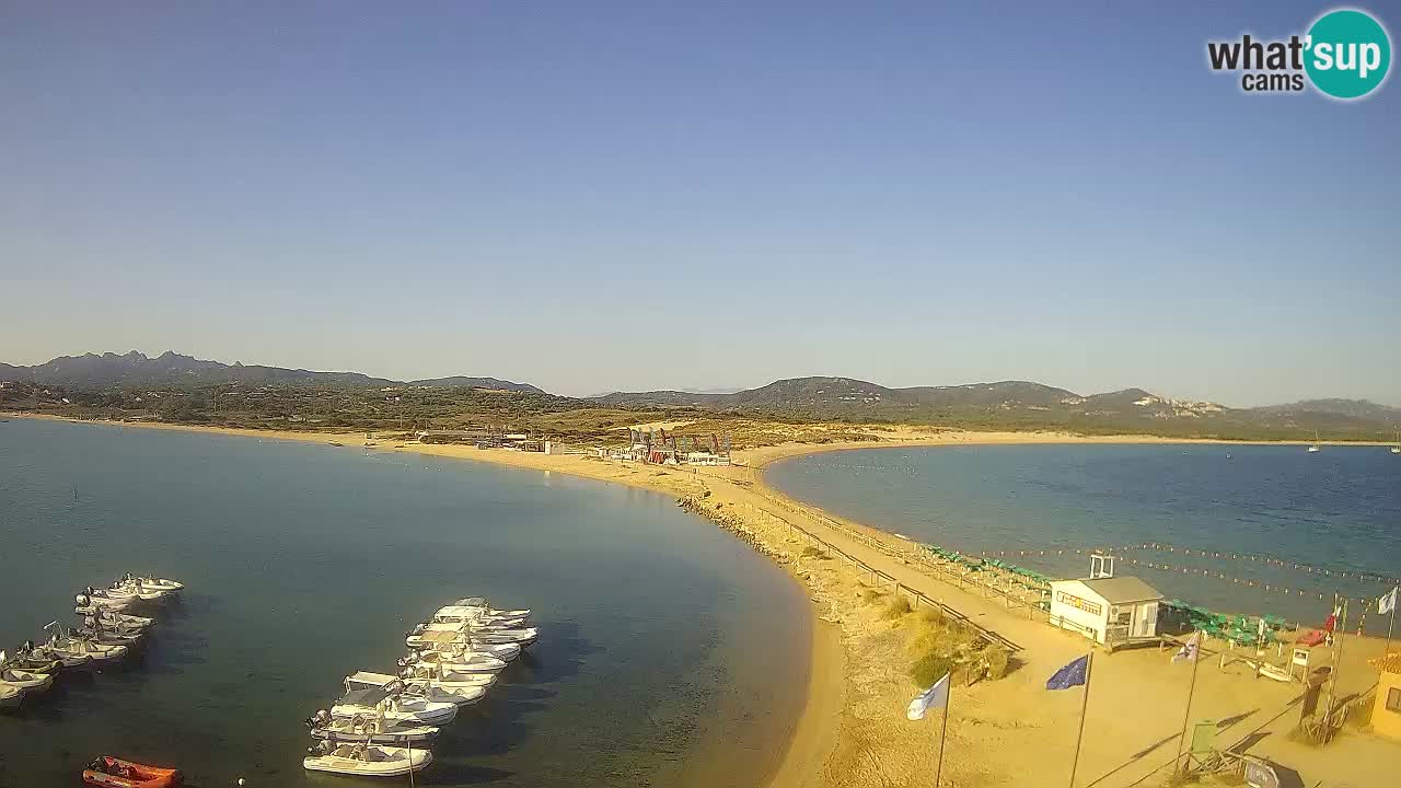 L’Isuledda webcam Isola dei Gabbiani – Porto Pollo – Palau – Sardegna