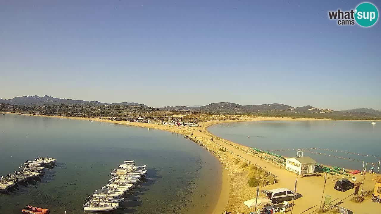 L’Isuledda webcam Isola dei Gabbiani – Porto Pollo – Palau – Cerdeña – Italia
