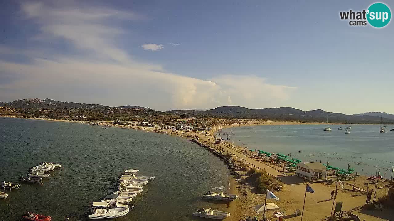 L’Isuledda webcam Isola dei Gabbiani – Porto Pollo – Palau – Sardegna