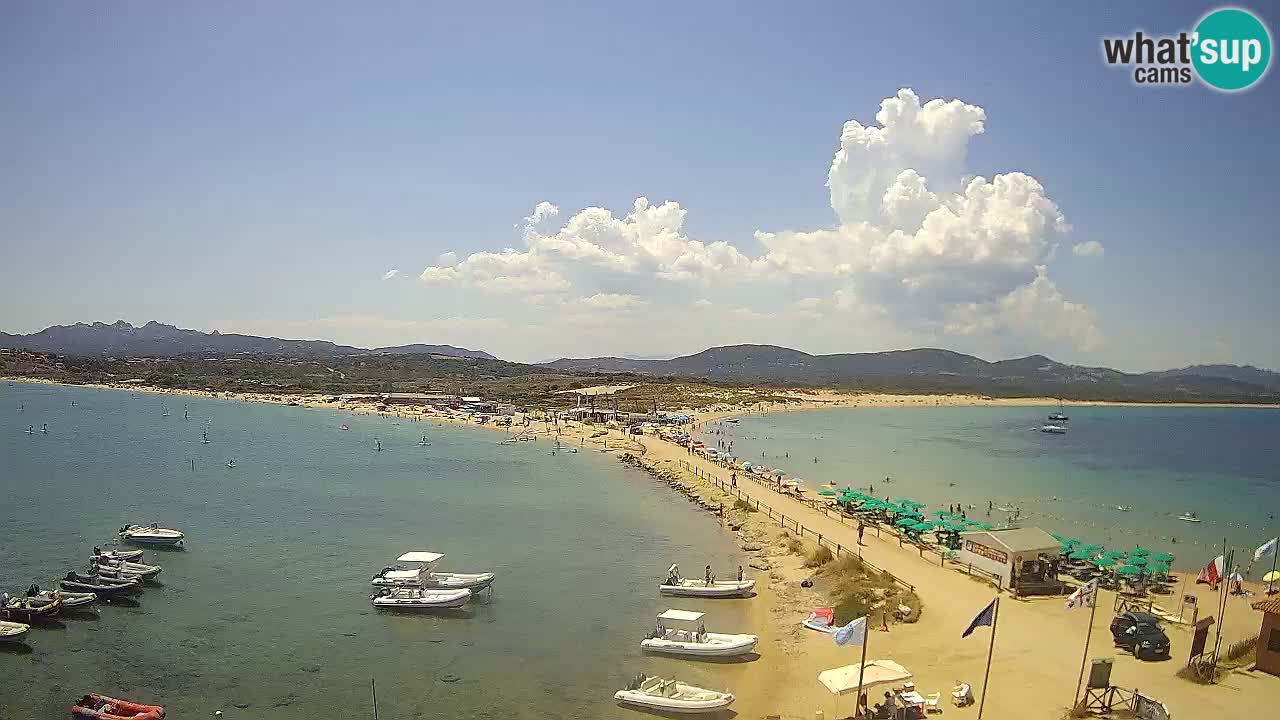 L’Isuledda webcam Isola dei Gabbiani – Porto Pollo – Palau – Sardegna