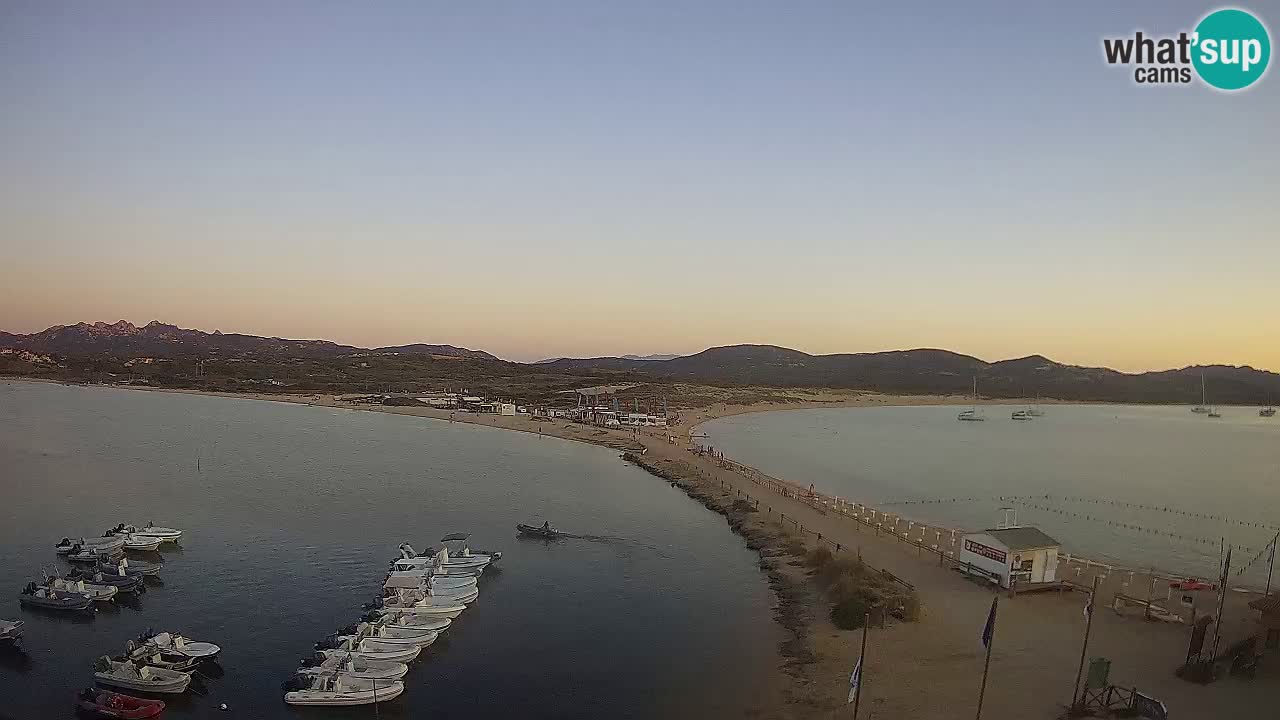 L’Isuledda webcam Isola dei Gabbiani – Porto Pollo – Palau – Cerdeña – Italia