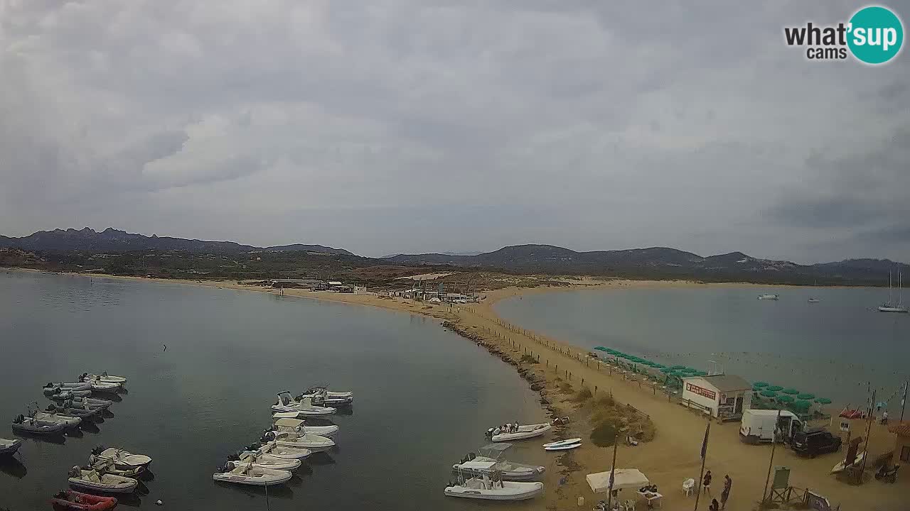 L’Isuledda webcam Isola dei Gabbiani – Porto Pollo – Palau – Cerdeña – Italia
