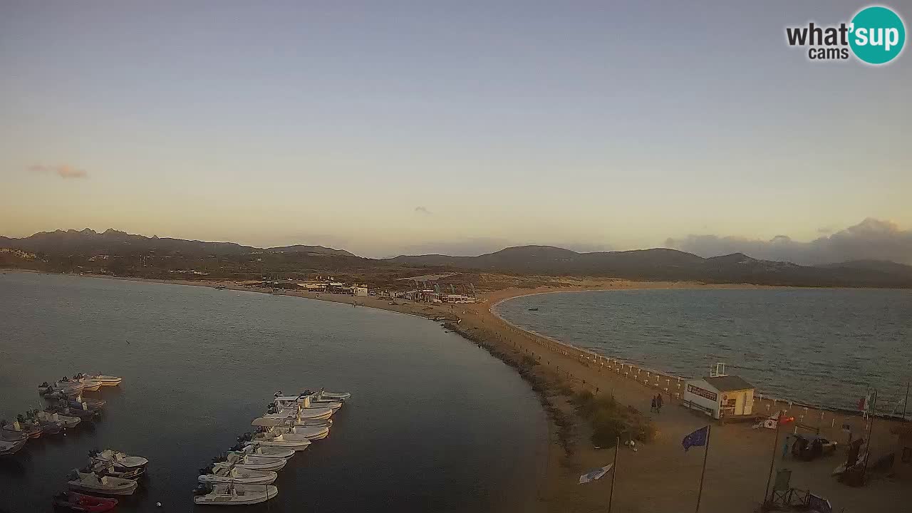 L’Isuledda webcam Isola dei Gabbiani – Porto Pollo – Palau – Cerdeña – Italia