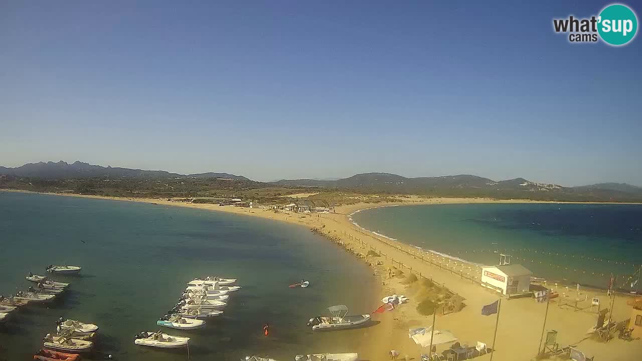 Livecam l’Isuledda – Isola dei Gabbiani – Porto Pollo – Palau – Sardaigne – Italie