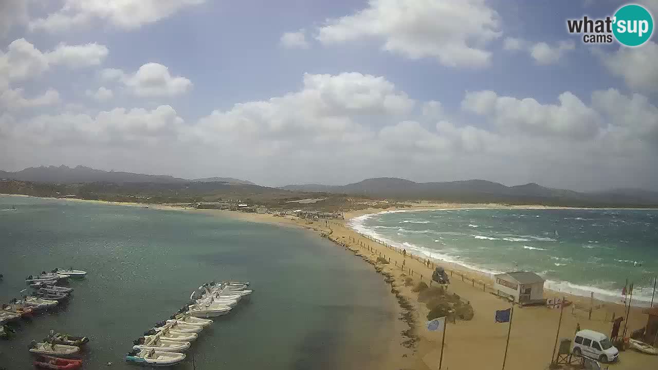 Live Webcam Isuledda – Isola dei Gabbiani – Porto Pollo – Palau – Sardinia