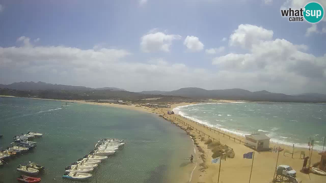 L’Isuledda webcam Isola dei Gabbiani – Porto Pollo – Palau – Sardegna