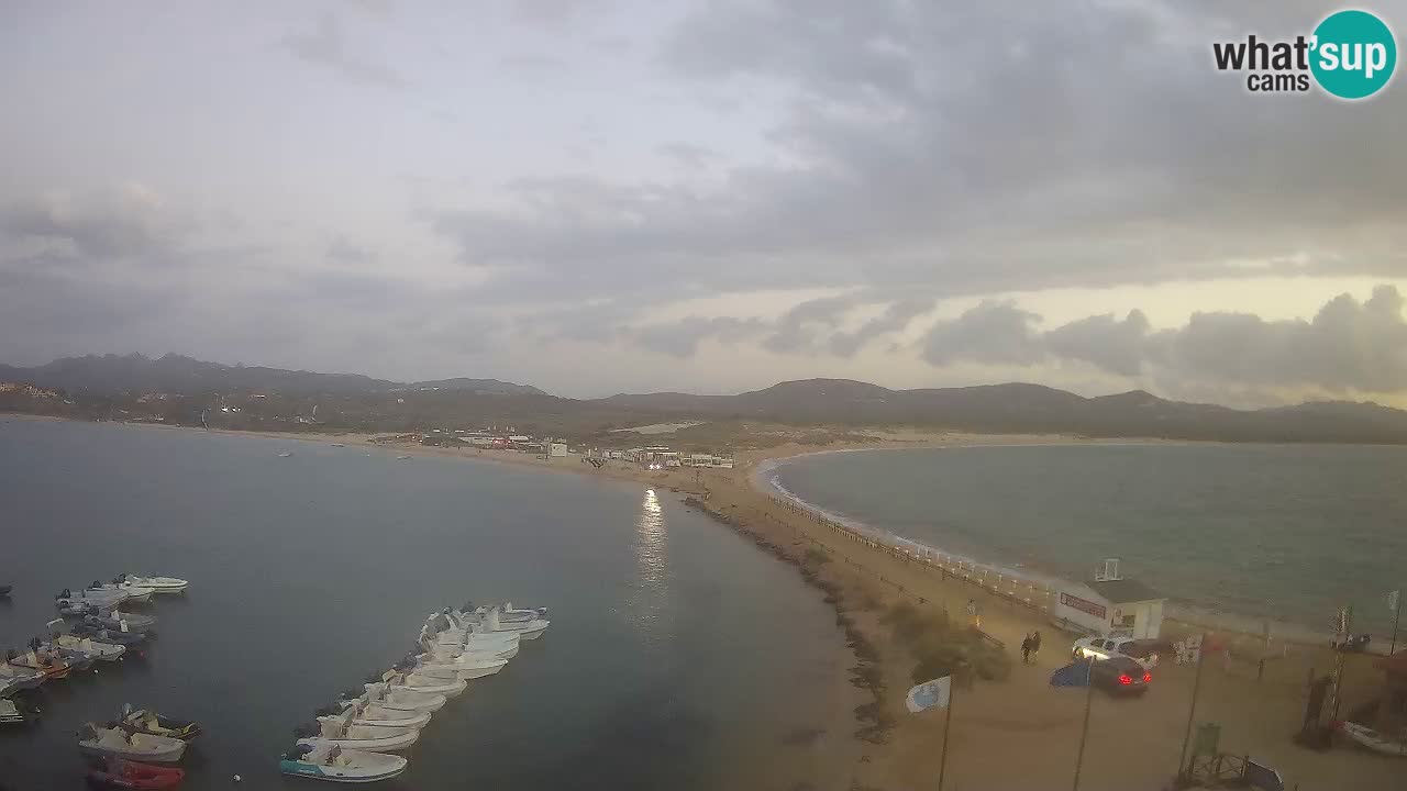 L’Isuledda webcam Isola dei Gabbiani – Porto Pollo – Palau – Sardegna