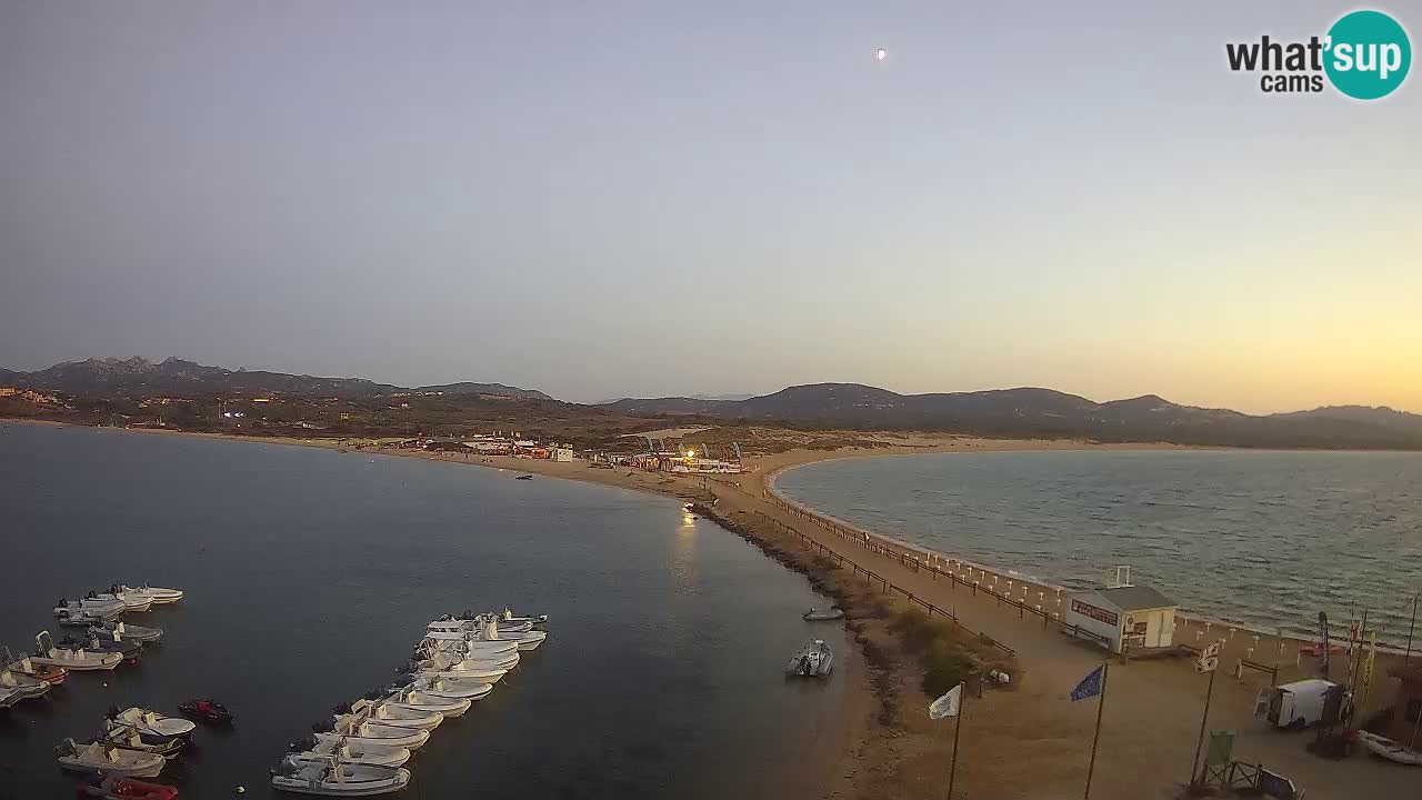 L’Isuledda webcam Isola dei Gabbiani – Porto Pollo – Palau – Cerdeña – Italia